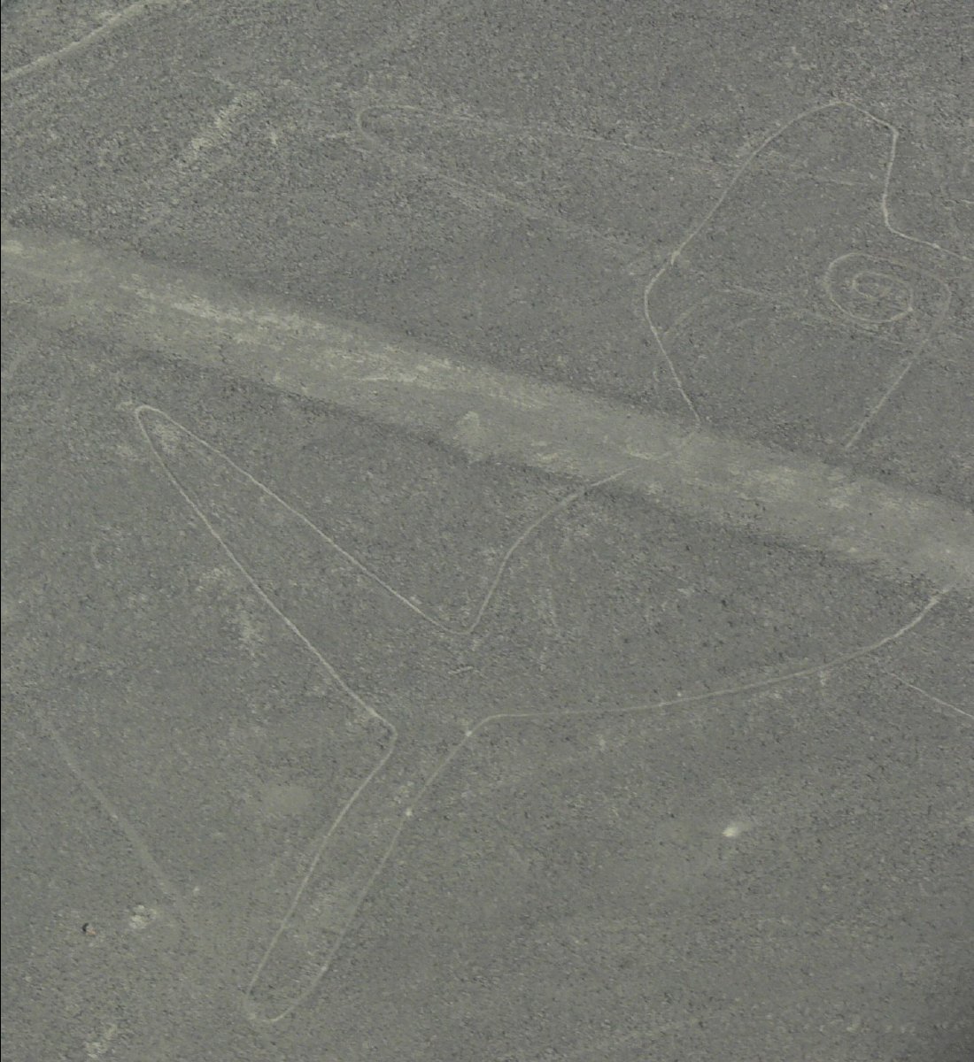 Nasca Lines19 - Whale